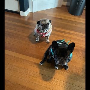 Meet your Posher, Cristina